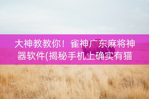 大神教教你！雀神广东麻将神器软件(揭秘手机上确实有猫腻)