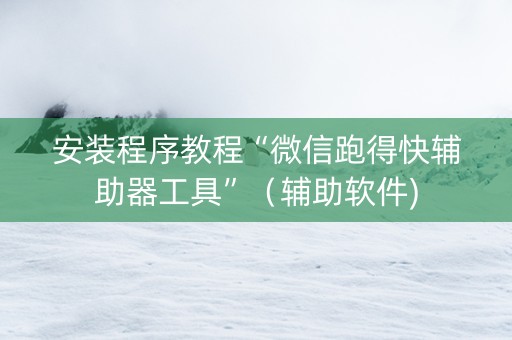 安装程序教程“微信跑得快辅助器工具”（辅助软件)