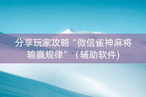分享玩家攻略“微信雀神麻将输赢规律”（辅助软件)