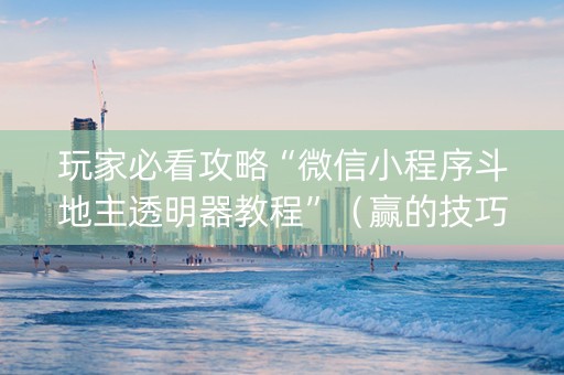 玩家必看攻略“微信小程序斗地主透明器教程”（赢的技巧规律)