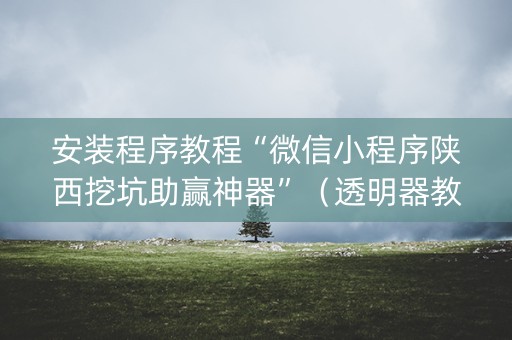 安装程序教程“微信小程序陕西挖坑助赢神器”（透明器教程)