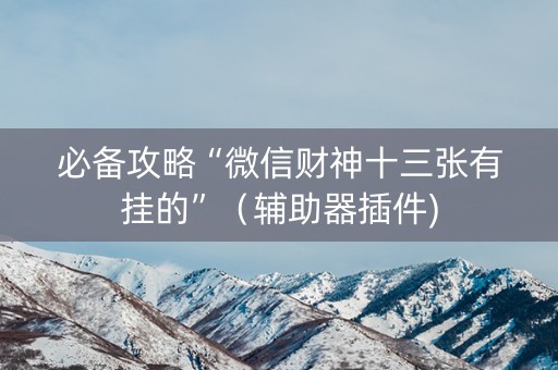 必备攻略“微信财神十三张有挂的”（辅助器插件)