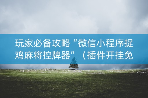 玩家必备攻略“微信小程序捉鸡麻将控牌器”（插件开挂免费AI)