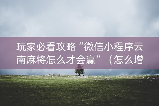 玩家必看攻略“微信小程序云南麻将怎么才会赢”（怎么增加胜率)