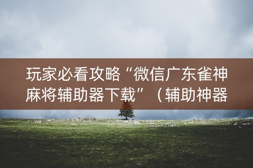 玩家必看攻略“微信广东雀神麻将辅助器下载”（辅助神器免费)