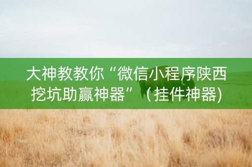 大神教教你“微信小程序陕西挖坑助赢神器”（挂件神器)
