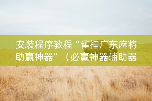 安装程序教程“雀神广东麻将助赢神器”（必赢神器辅助器)