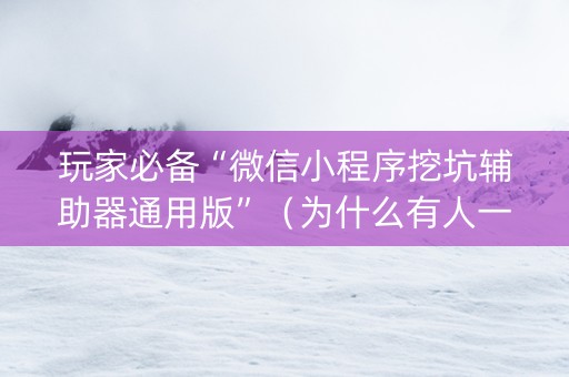 玩家必备“微信小程序挖坑辅助器通用版”（为什么有人一直赢)