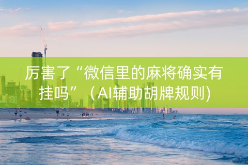厉害了“微信里的麻将确实有挂吗”（AI辅助胡牌规则)