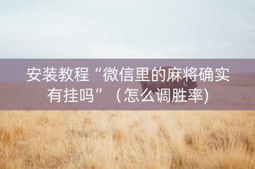 安装教程“微信里的麻将确实有挂吗”（怎么调胜率)