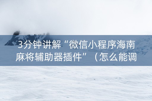 3分钟讲解“微信小程序海南麻将辅助器插件”（怎么能调好牌)