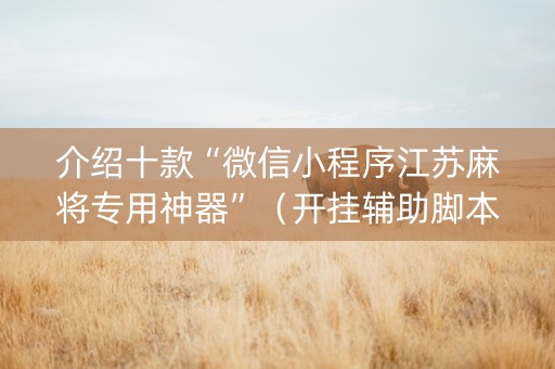 介绍十款“微信小程序江苏麻将专用神器”（开挂辅助脚本)