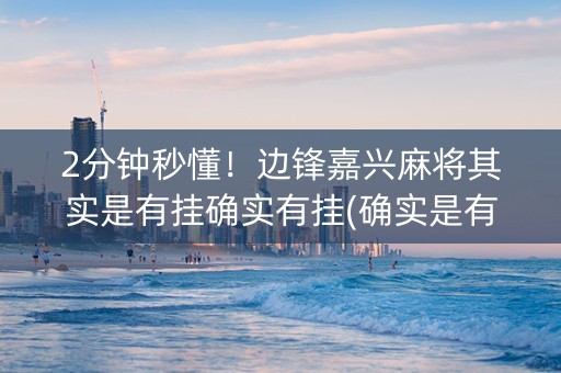 2分钟秒懂！边锋嘉兴麻将其实是有挂确实有挂(确实是有挂)