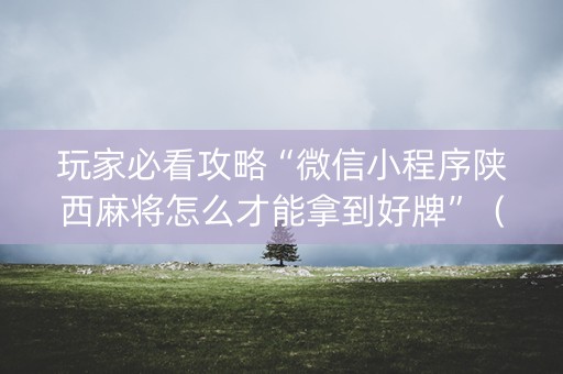 玩家必看攻略“微信小程序陕西麻将怎么才能拿到好牌”（开挂辅助插件)