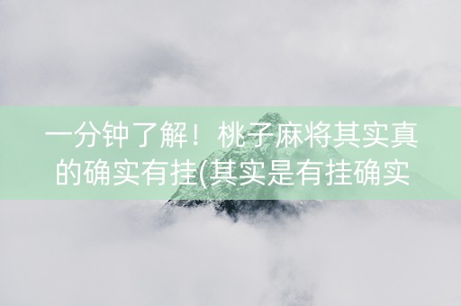 一分钟了解！桃子麻将其实真的确实有挂(其实是有挂确实有挂)
