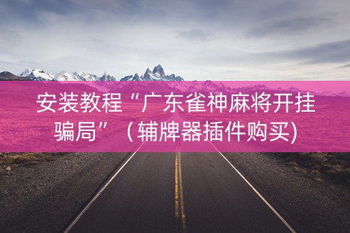 安装教程“广东雀神麻将开挂骗局”（辅牌器插件购买)