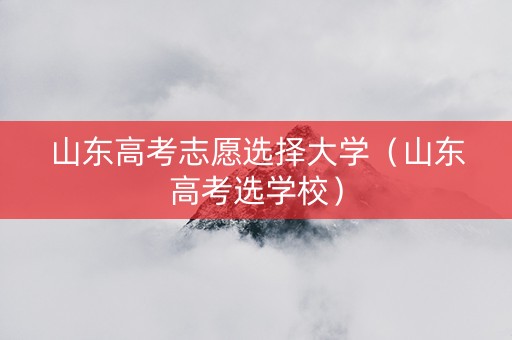 山东高考志愿选择大学（山东高考选学校）