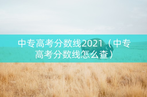中专高考分数线2021（中专高考分数线怎么查）