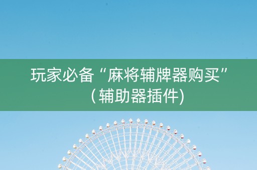 玩家必备“麻将辅牌器购买”（辅助器插件)