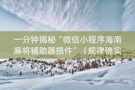 一分钟揭秘“微信小程序海南麻将辅助器插件”（规律确实有挂)