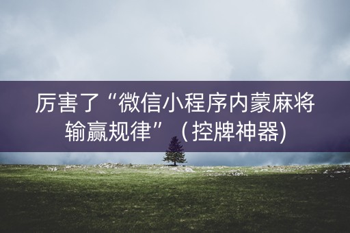 厉害了“微信小程序内蒙麻将输赢规律”(控牌神器) 厉害了“微信小程序内蒙麻将输赢规律”(控牌神器)