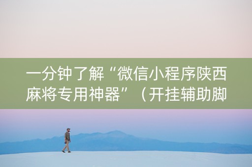 一分钟了解“微信小程序陕西麻将专用神器”（开挂辅助脚本)