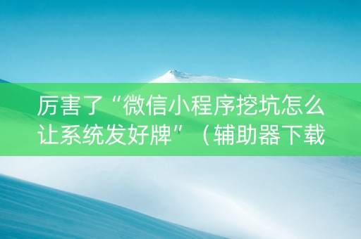 厉害了“微信小程序挖坑怎么让系统发好牌”（辅助器下载)