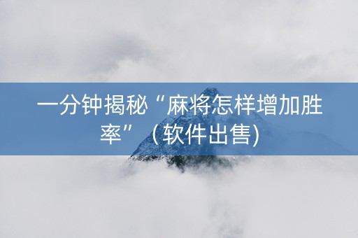 一分钟揭秘“麻将怎样增加胜率”（软件出售)