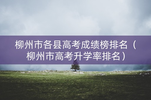 柳州市各县高考成绩榜排名（柳州市高考升学率排名）