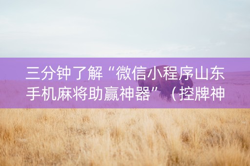 三分钟了解“微信小程序山东手机麻将助赢神器”（控牌神器)