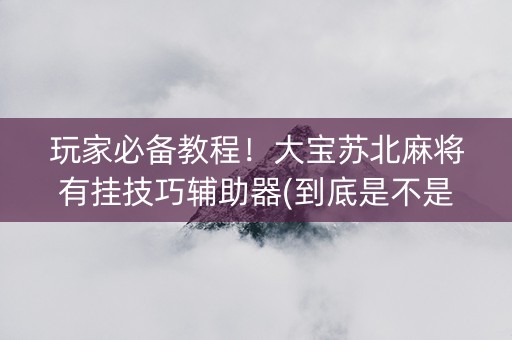 玩家必备教程！大宝苏北麻将有挂技巧辅助器(到底是不是有挂)
