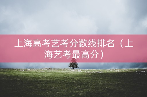 上海高考艺考分数线排名（上海艺考最高分）