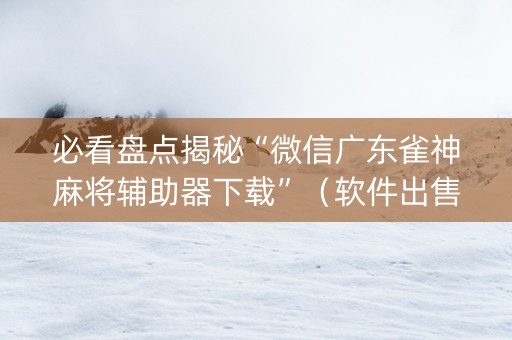 必看盘点揭秘“微信广东雀神麻将辅助器下载”（软件出售)