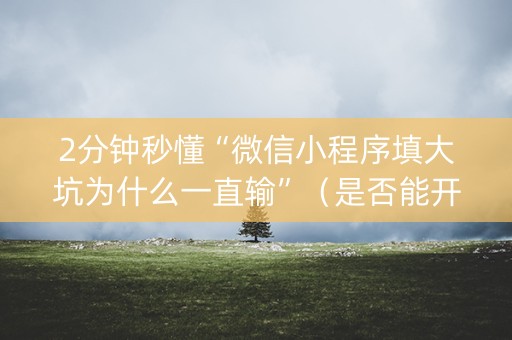 2分钟秒懂“微信小程序填大坑为什么一直输”（是否能开挂)