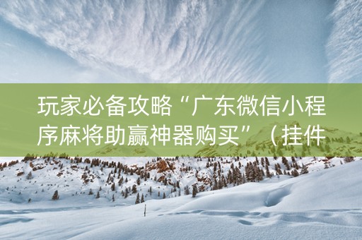 玩家必备攻略“广东微信小程序麻将助赢神器购买”（挂件神器)