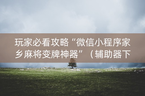 玩家必看攻略“微信小程序家乡麻将变牌神器”（辅助器下载)