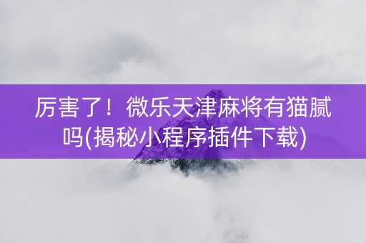 厉害了！微乐天津麻将有猫腻吗(揭秘小程序插件下载)