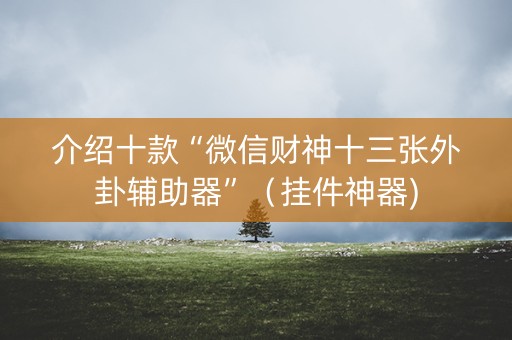 介绍十款“微信财神十三张外卦辅助器”（挂件神器)