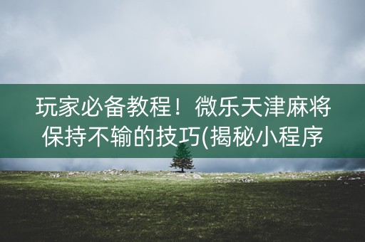 玩家必备教程！微乐天津麻将保持不输的技巧(揭秘小程序助手软件)