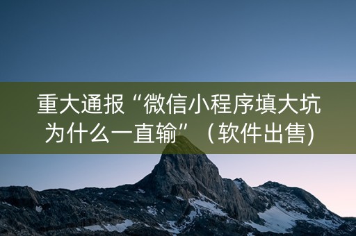重大通报“微信小程序填大坑为什么一直输”（软件出售)