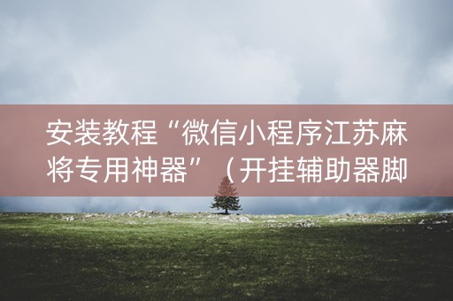 安装教程“微信小程序江苏麻将专用神器”（开挂辅助器脚本)