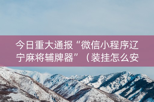 今日重大通报“微信小程序辽宁麻将辅牌器”（装挂怎么安装)