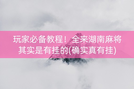 玩家必备教程！全来湖南麻将其实是有挂的(确实真有挂)