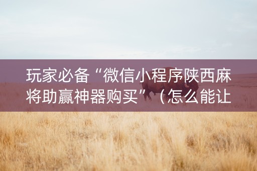 玩家必备“微信小程序陕西麻将助赢神器购买”（怎么能让牌好一点)