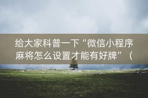 给大家科普一下“微信小程序麻将怎么设置才能有好牌”（辅助器下载)