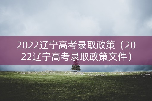2022辽宁高考录取政策（2022辽宁高考录取政策文件）