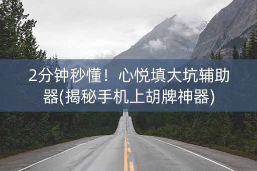 2分钟秒懂！心悦填大坑辅助器(揭秘手机上胡牌神器)