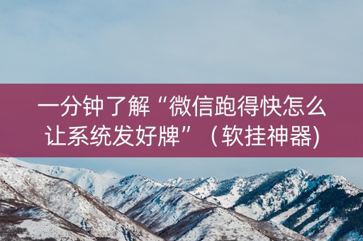 一分钟了解“微信跑得快怎么让系统发好牌”（软挂神器)