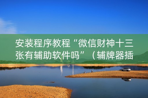 安装程序教程“微信财神十三张有辅助软件吗”（辅牌器插件购买)