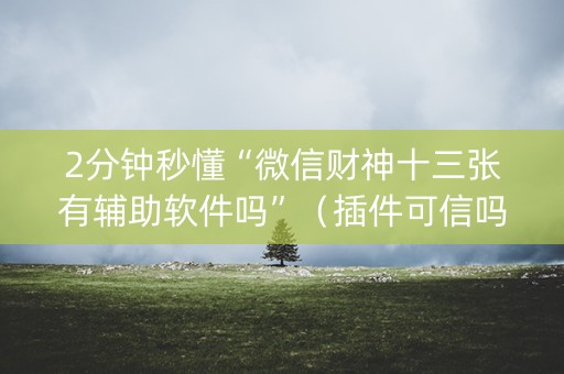 2分钟秒懂“微信财神十三张有辅助软件吗”（插件可信吗)